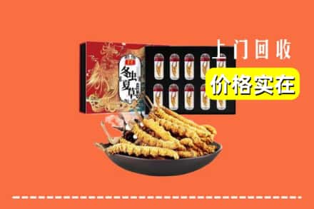 包头市固阳回收冬虫夏草