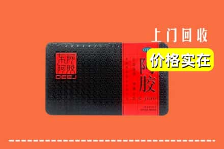 包头市固阳回收阿胶