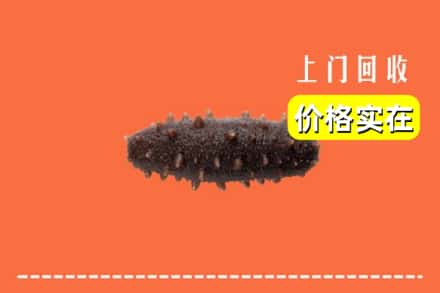 包头市固阳回收海参