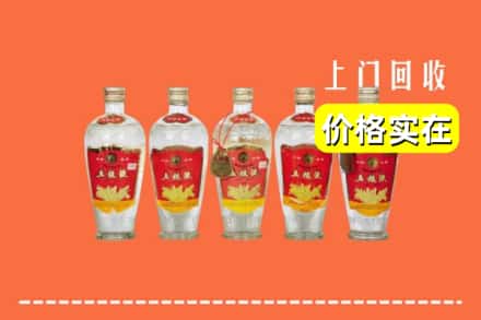 包头市固阳回收老五粮液